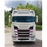 Stoneguard - TruckStyle Sweden - Stoneguard Stoneguard Honeycomb - White - Scania - G/L/P/R/S - 2016+