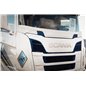 Stoneguard - TruckStyle Sweden - Stoneguard Honeycomb - White - Scania - G/L/P/R/S - 2016+