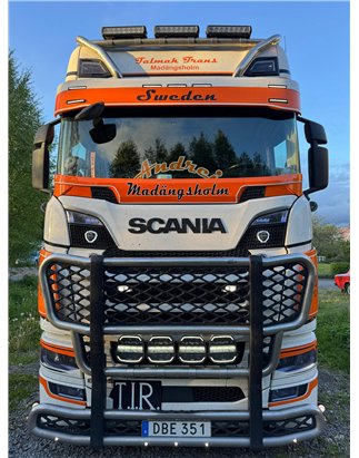 Stoneguard - TruckStyle Sweden - Stoneguard Stoneguard Honeycomb - White - Scania - G/L/P/R/S - 2016+