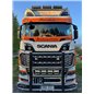 Stoneguard - TruckStyle Sweden - Stoneguard Honeycomb - White - Scania - G/L/P/R/S - 2016+