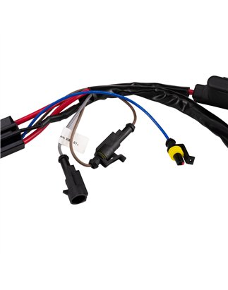 Kabelsatz - Ledson - Connect High Power - 3 Lampen - 6 Pins - Deutsch DT - 12V