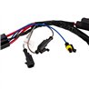 Wiring kit - Ledson - Connect High Power - 3 lamps - 6 pins - Deutsch DT - 12V