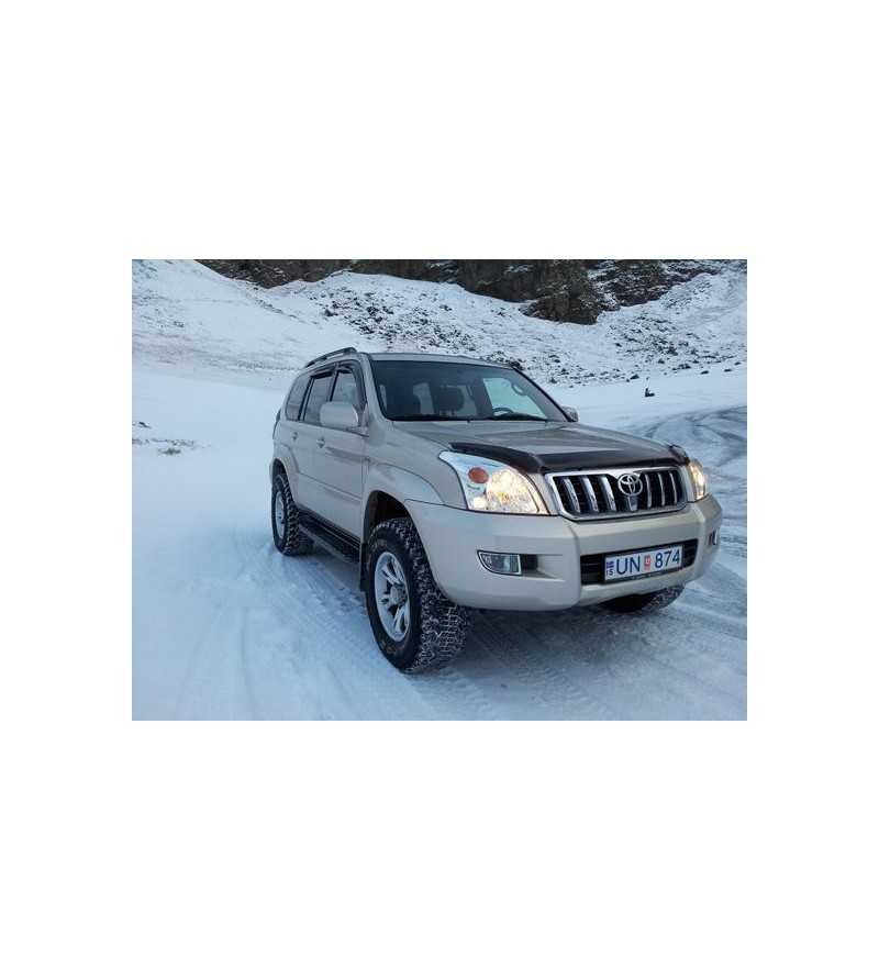 Landcruiser 120 2003-2008 Stone Guard - 39191 Landcruiser 120 2003-2008 Stone Guard - 39191