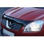 Steinschlagschutz - Nissan - Qashqai - 2007-2009