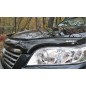 Stoneguard - Toyota - RAV4 - 2010-2012