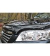 RAV4 2010- Stone Guard - 39321L