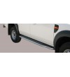 AA Side Steps - P/250/IX - Lights and Styling