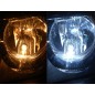 LED lamp - Ledson - 5-Led - T10 / W5W - White - 24V