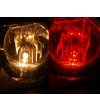 T10/W5W lamp LED 24V 5 LED Rood - 341052