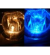 T10/W5W lamp LED 12V 5 LED Blauw - 321054