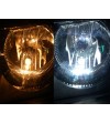 T10/W5W lamp LED 12V 9 LED Xenon Wit - 121091