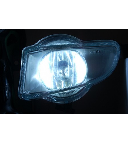 LED lamp - Ledson - 12-Led - H1 - White - 6000K - 12V
