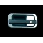 Inox-Teile - Acitoinox - Profile Türgriff - DAF - XF - 105 - 2007-2013