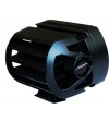 Lazer T-2R Race Light Black - 0002R