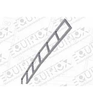 Transit 2014 L2/L4/H3 Ladder Stainless - 040.07.02D.004