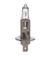 H1 halogeen lamp 12V/55W - H1 12V 55W