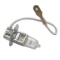 Halogenlampe - L&S - H3 - Weiß - 24V - 70W 