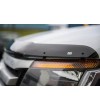 Ford Ranger 16- Stone Guard - 12051 - Övriga tillbehör - Verstralershop