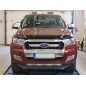 Steinschlagschutz - Ford - Ranger - 2016-2022 Steinschlagschutz - Ford - Ranger - 2016-2022