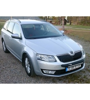Q-LED Skoda Octavia/Scout 14- - QL90014