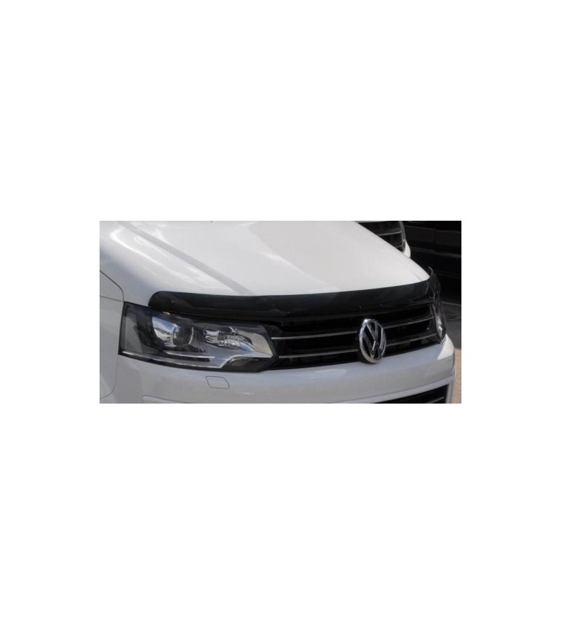 T6 2015-2019 Stone Guard - SG4839DS T6 2015-2019 Stone Guard - SG4839DS