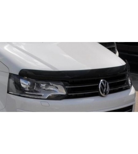 T5 2010 Hood Guard - SG4839DS