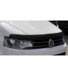 T5 2010 Hood Guard - SG4839DS