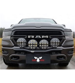 RAM 2019- Q-Light - Q900390
