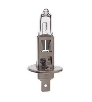 H1 halogeen lamp 24V/100W - H1 24V 100W