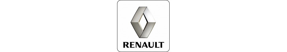 Renault Kangoo Företagsbil tillbehör - Lights and Styling