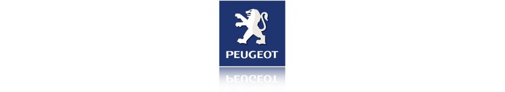 Peugeot 3008 Accessoires - Verstralershop.nl