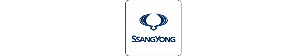 SsangYong Accessories - Lights and Styling