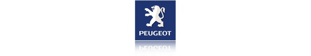 Peugeot 2008 - Lights and Styling