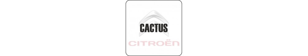 Citroën Cactus - Lights and Styling