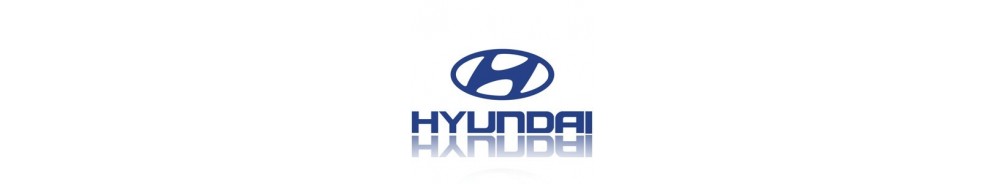 Hyundai Galloper 1998-2002 - Lights and Styling