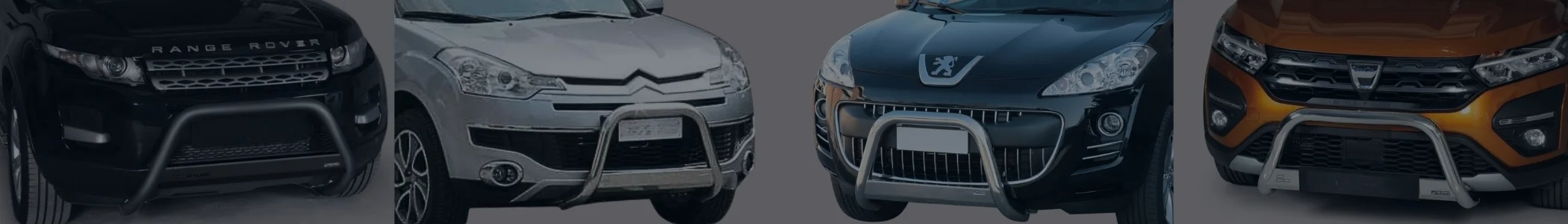 Bullbar auto banner